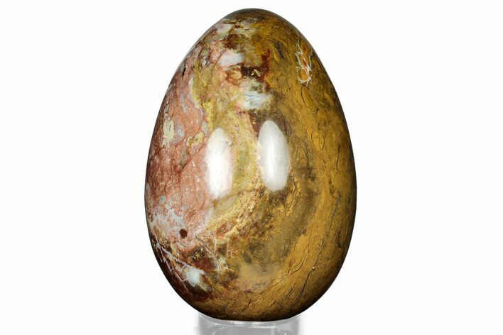 Polished Colorful Jasper Egg - Madagascar #323078